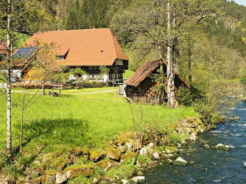 Gaestehaus Ursula Hotel Hornberg Exterior foto