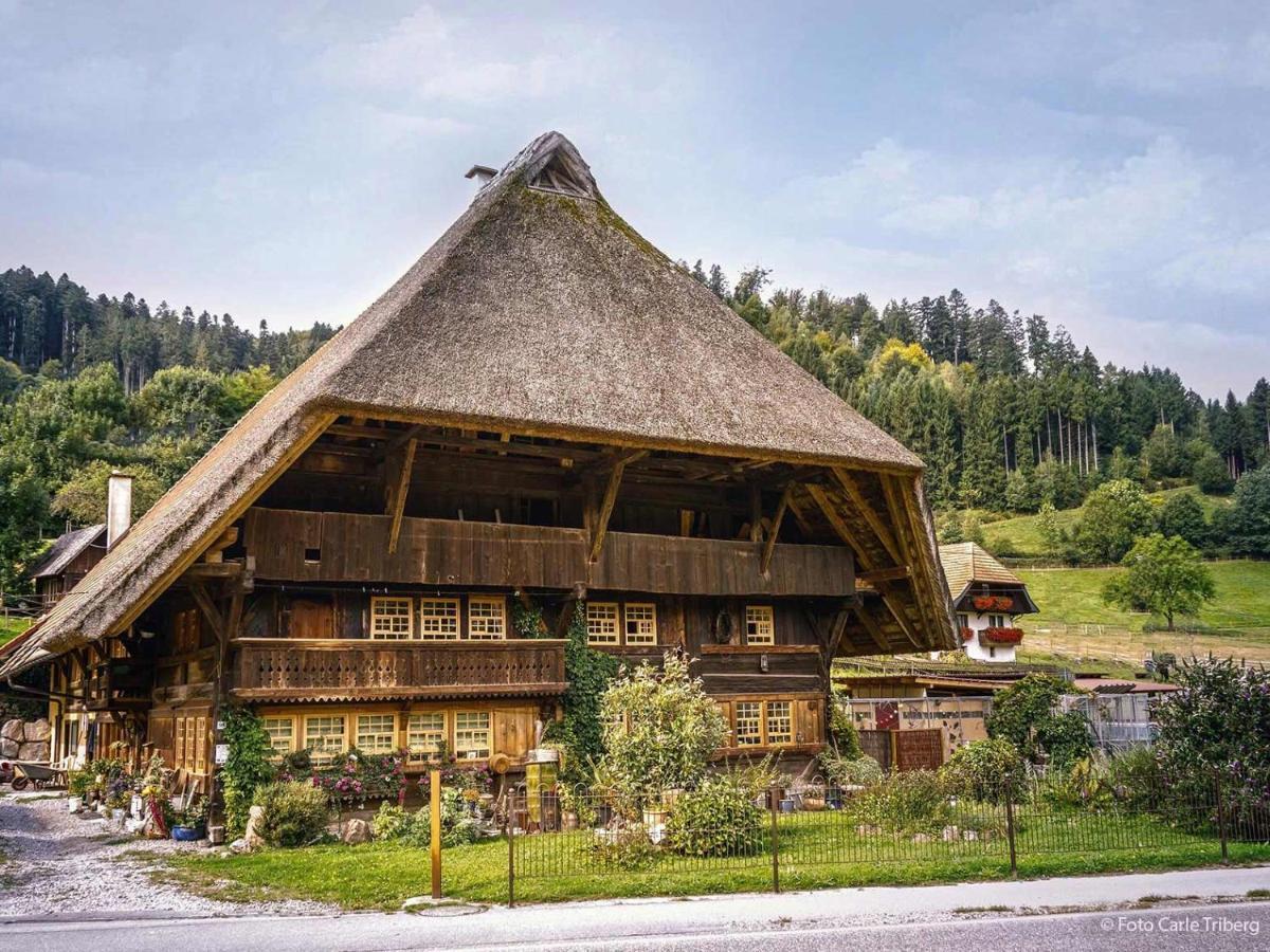 Gaestehaus Ursula Hotel Hornberg Exterior foto