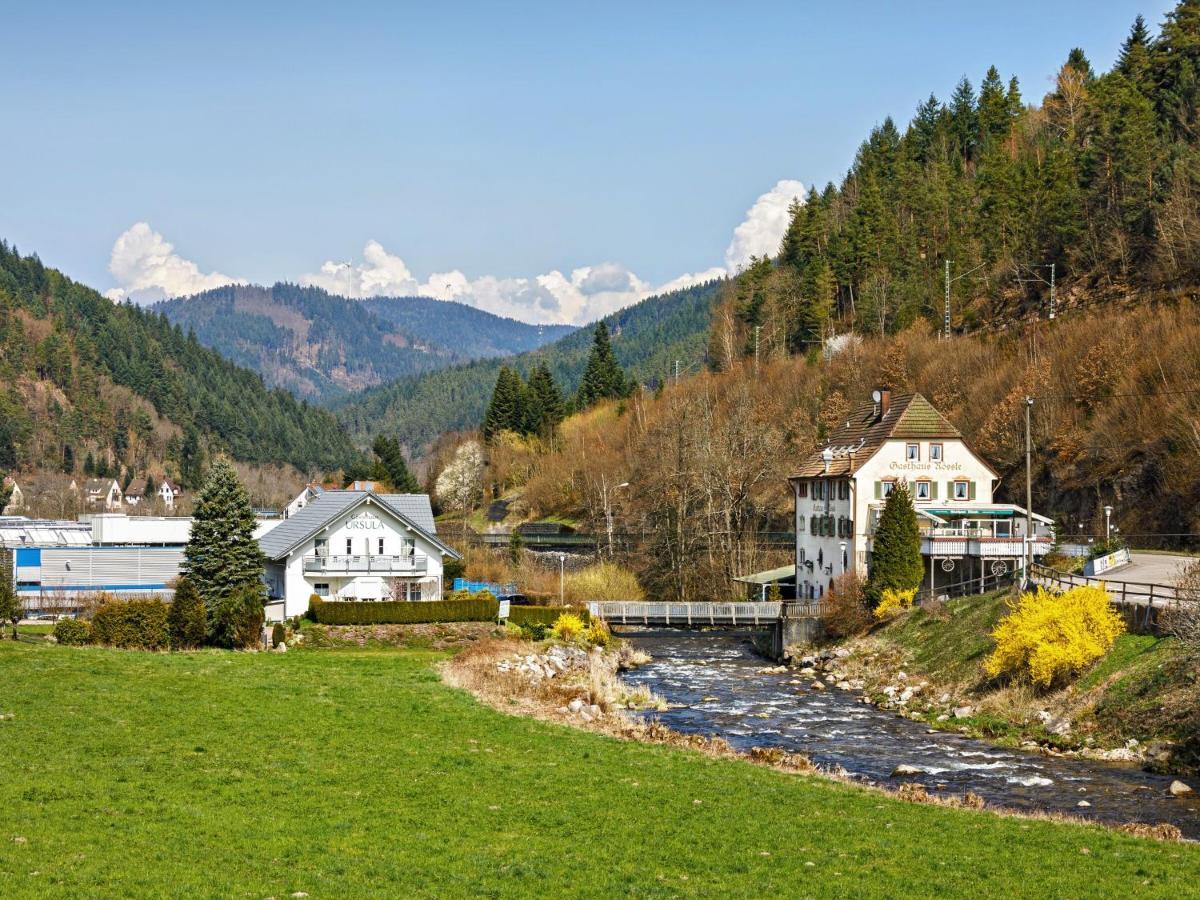 Gaestehaus Ursula Hotel Hornberg Exterior foto