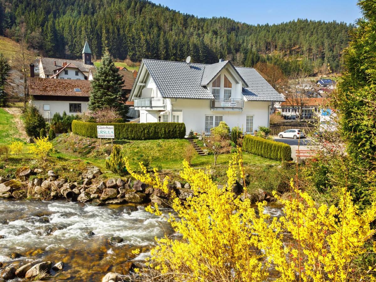 Gaestehaus Ursula Hotel Hornberg Exterior foto