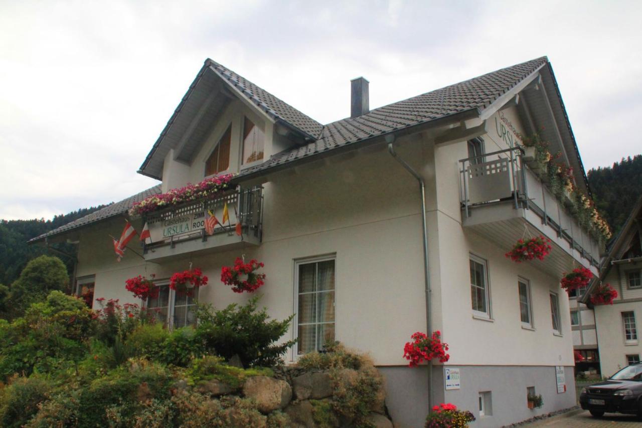 Gaestehaus Ursula Hotel Hornberg Exterior foto