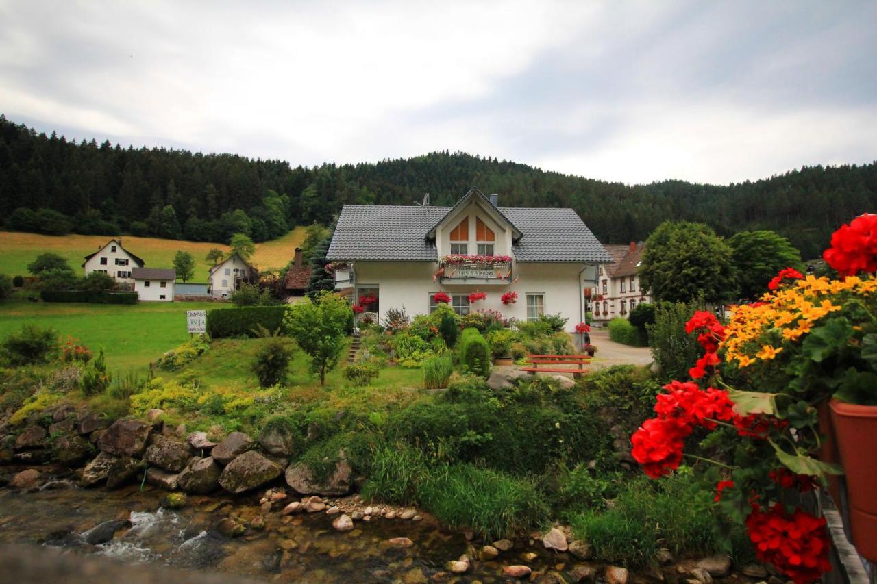 Gaestehaus Ursula Hotel Hornberg Exterior foto